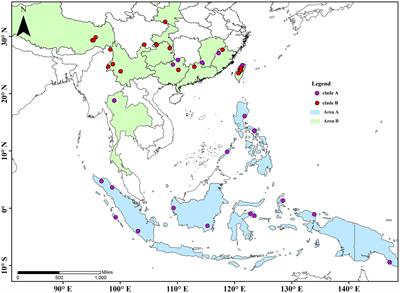 Molecular phylogeny and historical biogeography of Cyclommatus stag beetles (Coleoptera: Lucanidae): Insights into their evolution and diversification in tropical and subtropical Asia